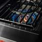 TrueFlame Power Burner