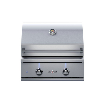 Delta Heat 26-Inch 2-Burner Built-In Gas Grill