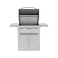 Summerset Resort 30-Inch 2-Burner Commercial Gas Grill On Pedestal Cart