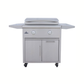 Blaze Premium LTE+ 30-Inch Freestanding Gas Griddle With Lights