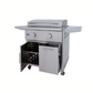 Blaze Premium LTE+ 30-Inch Freestanding Gas Griddle With Lights