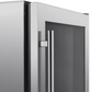 Blaze 20-Inch 4.5 Cu. Ft. Outdoor Rated Beverage Cooler