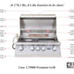 Lion 32-Inch Stainless Steel Built-In Grill - L75000