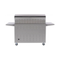 PGS T-Series Commercial 51-Inch Gas Grill With Timer