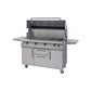 PGS T-Series Commercial 51-Inch Gas Grill With Timer