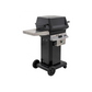 PGS T-Series T30 Commercial Cast Aluminum Gas Grill With Timer On Black Portable Pedestal Base