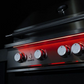 TrueFlame 32-Inch 4-Burner Built-In Gas Grill