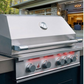 TrueFlame 32-Inch 4-Burner Built-In Gas Grill