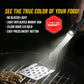 Grillight LED Spatula